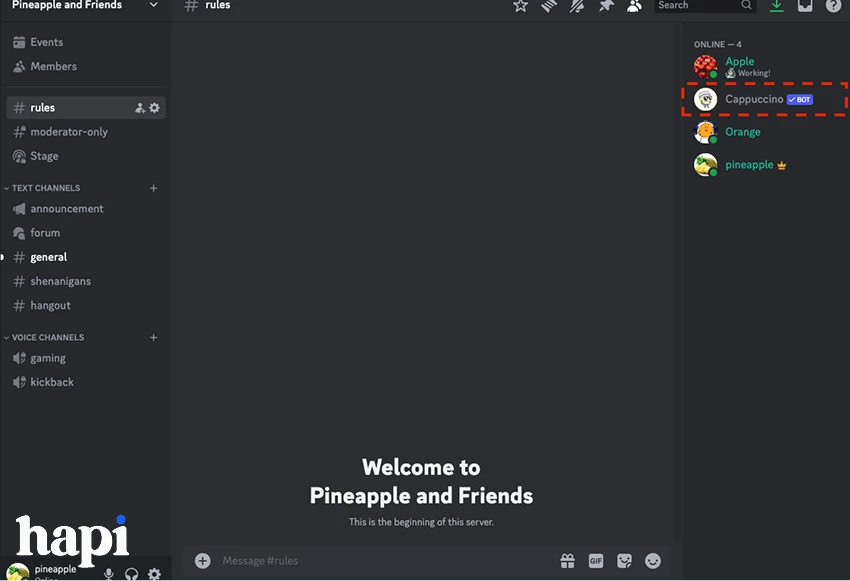 a sample of a Discord server